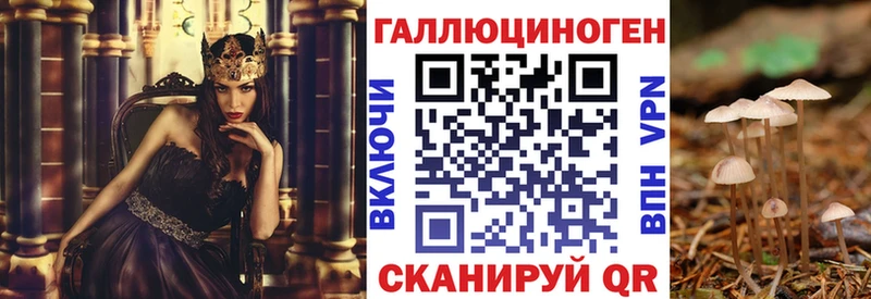 как найти наркотики  кракен зеркало  Галлюциногенные грибы ЛСД  Темников 